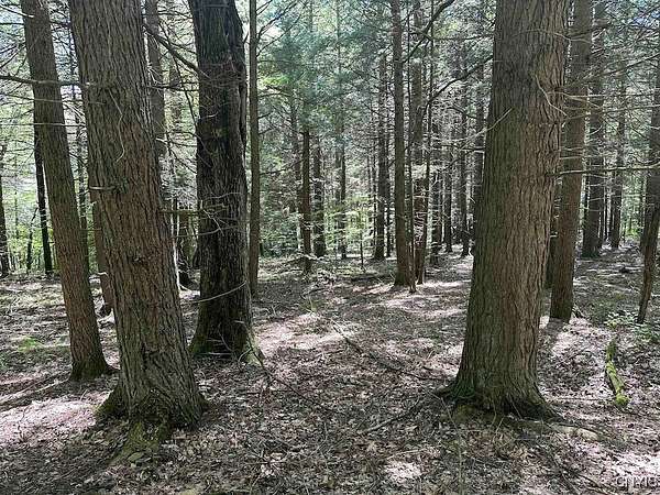 34.5 Acres of Recreational Land for Sale in Afton, New York