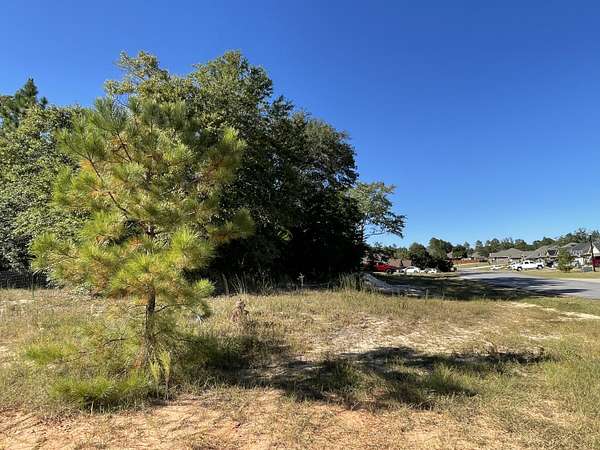 13.2 Acres of Land for Sale in Crestview, Florida