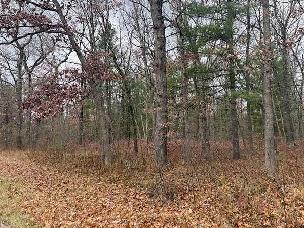 11.2 Acres of Land for Sale in Bitely, Michigan