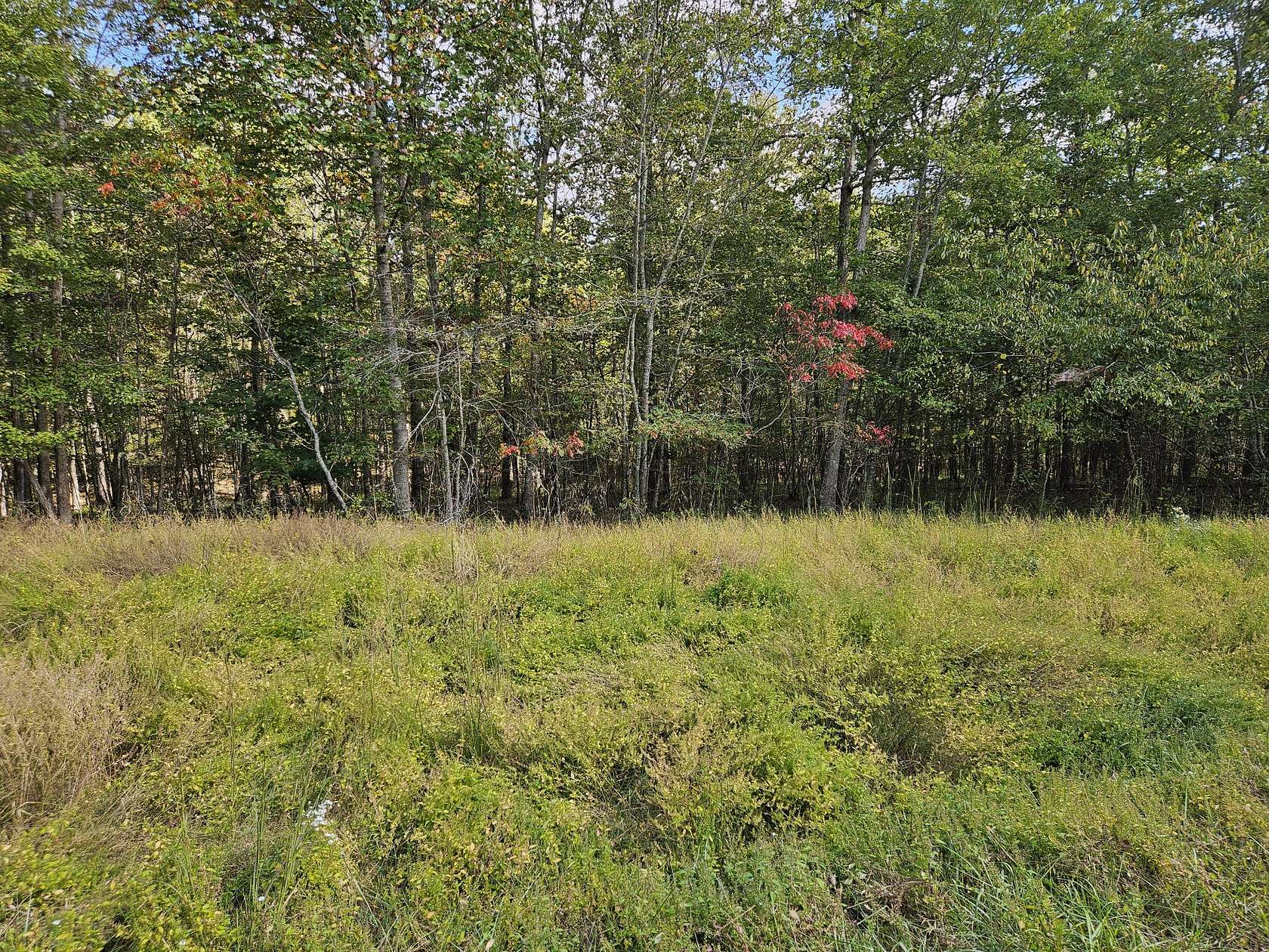 2.2 Acres of Residential Land for Sale in Spencer, Tennessee