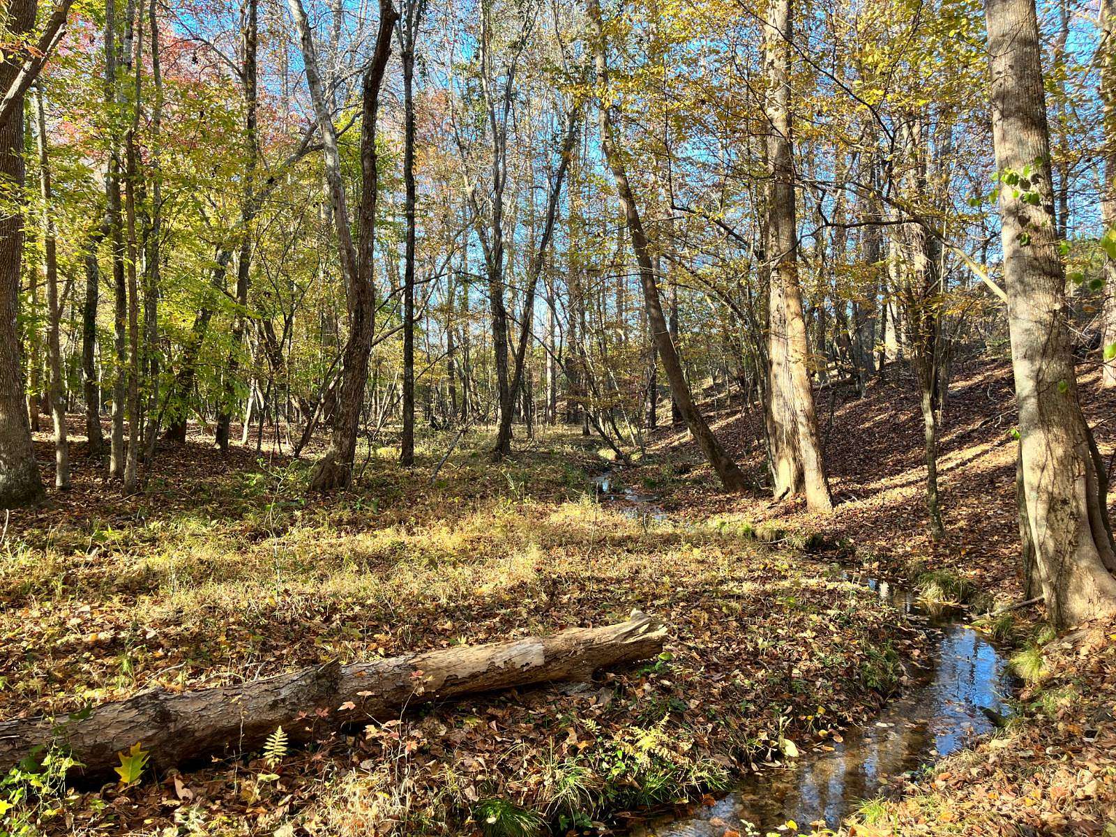 417 Acres of Recreational Land & Farm for Sale in Jonesville, South Carolina