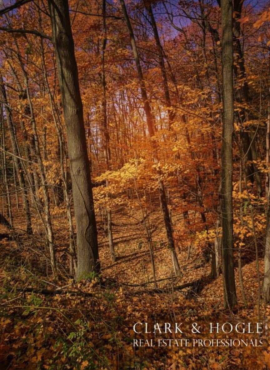 0.65 Acres of Land for Sale in Perrinton, Michigan