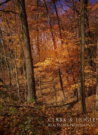 0.65 Acres of Land for Sale in Perrinton, Michigan