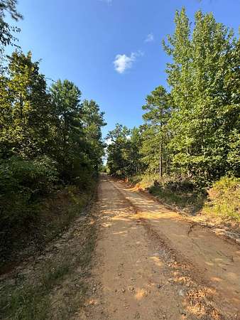 32.7 Acres of Recreational Land for Sale in Beaverton, Alabama