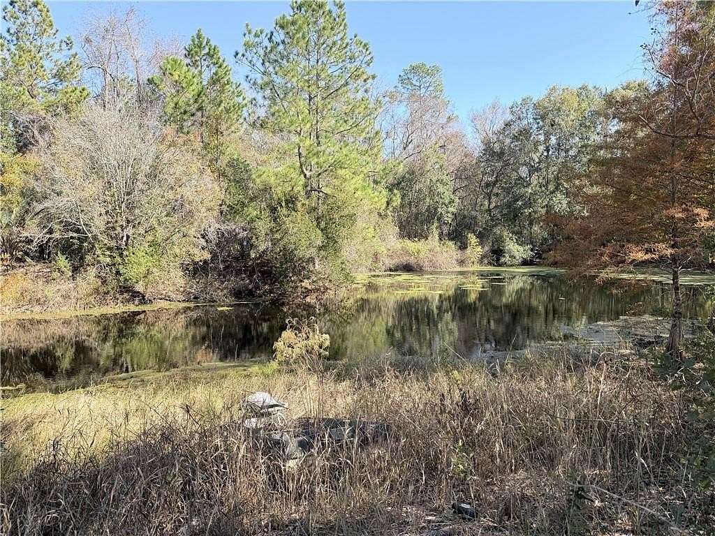 4.24 Acres of Residential Land for Sale in Waycross, Georgia