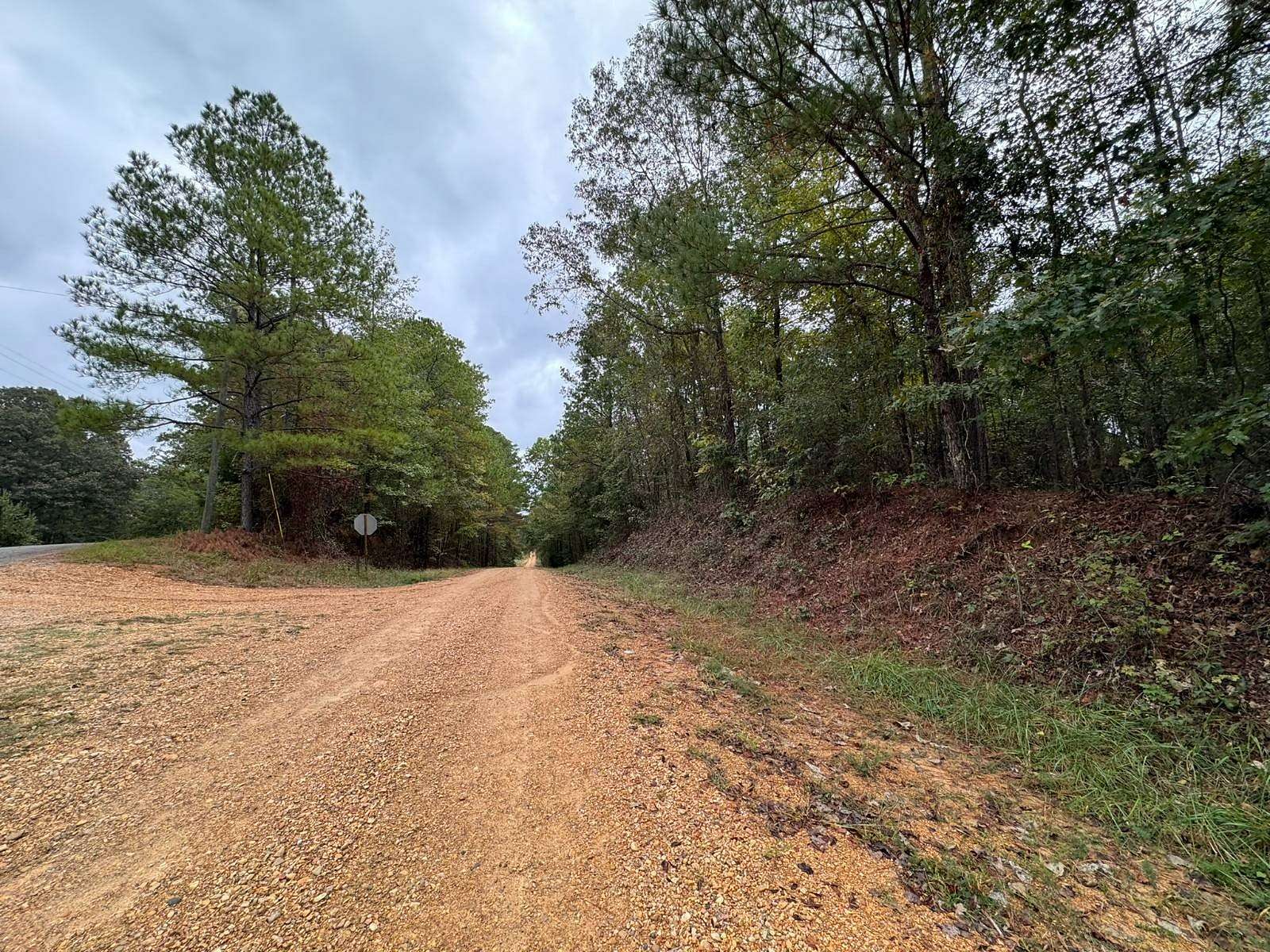 9 Acres of Residential Land for Sale in Vernon, Alabama