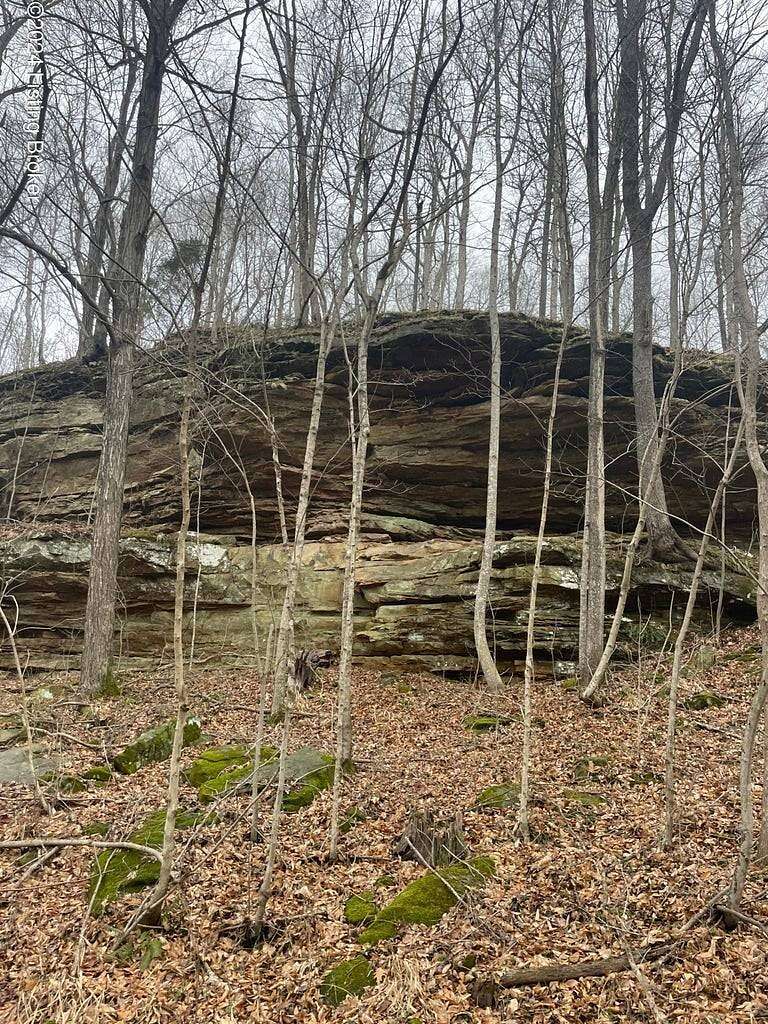 0.25 Acres of Residential Land for Sale in Leitchfield, Kentucky