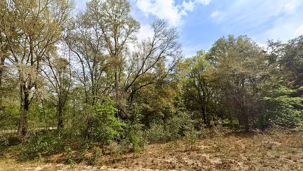 0.22 Acres of Residential Land for Sale in Interlachen, Florida