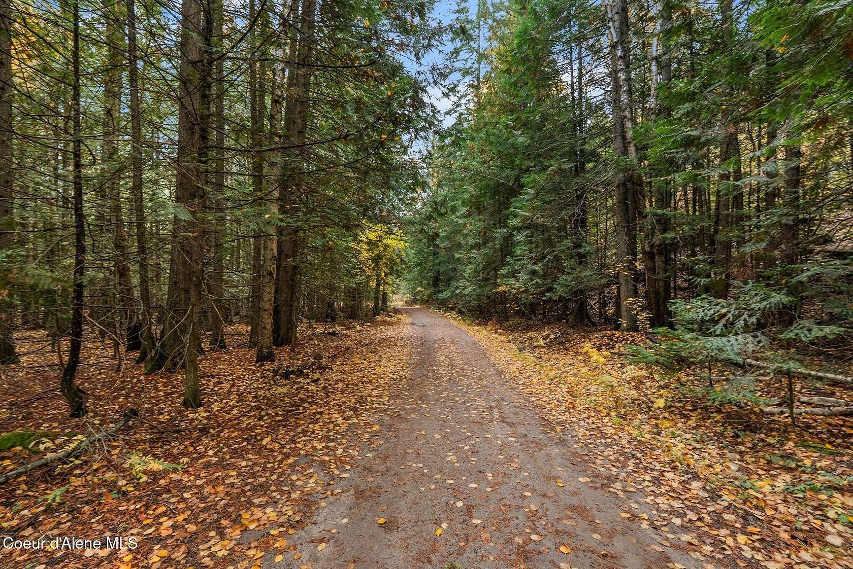 9 Acres of Residential Land for Sale in Sandpoint, Idaho