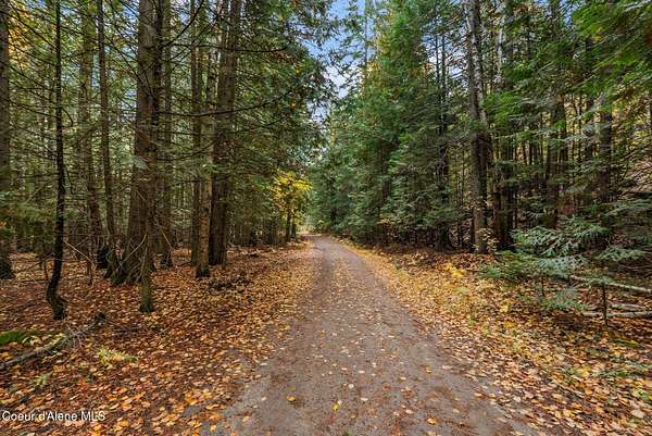 9 Acres of Residential Land for Sale in Sandpoint, Idaho