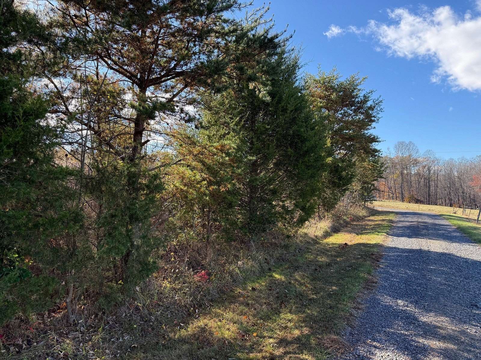 5.2 Acres of Residential Land for Auction in Unionville, Virginia