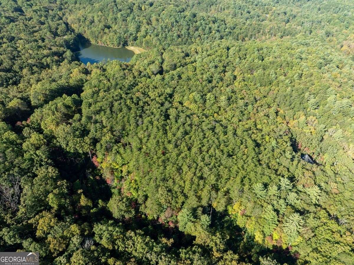 2 Acres of Residential Land for Sale in Ellijay, Georgia