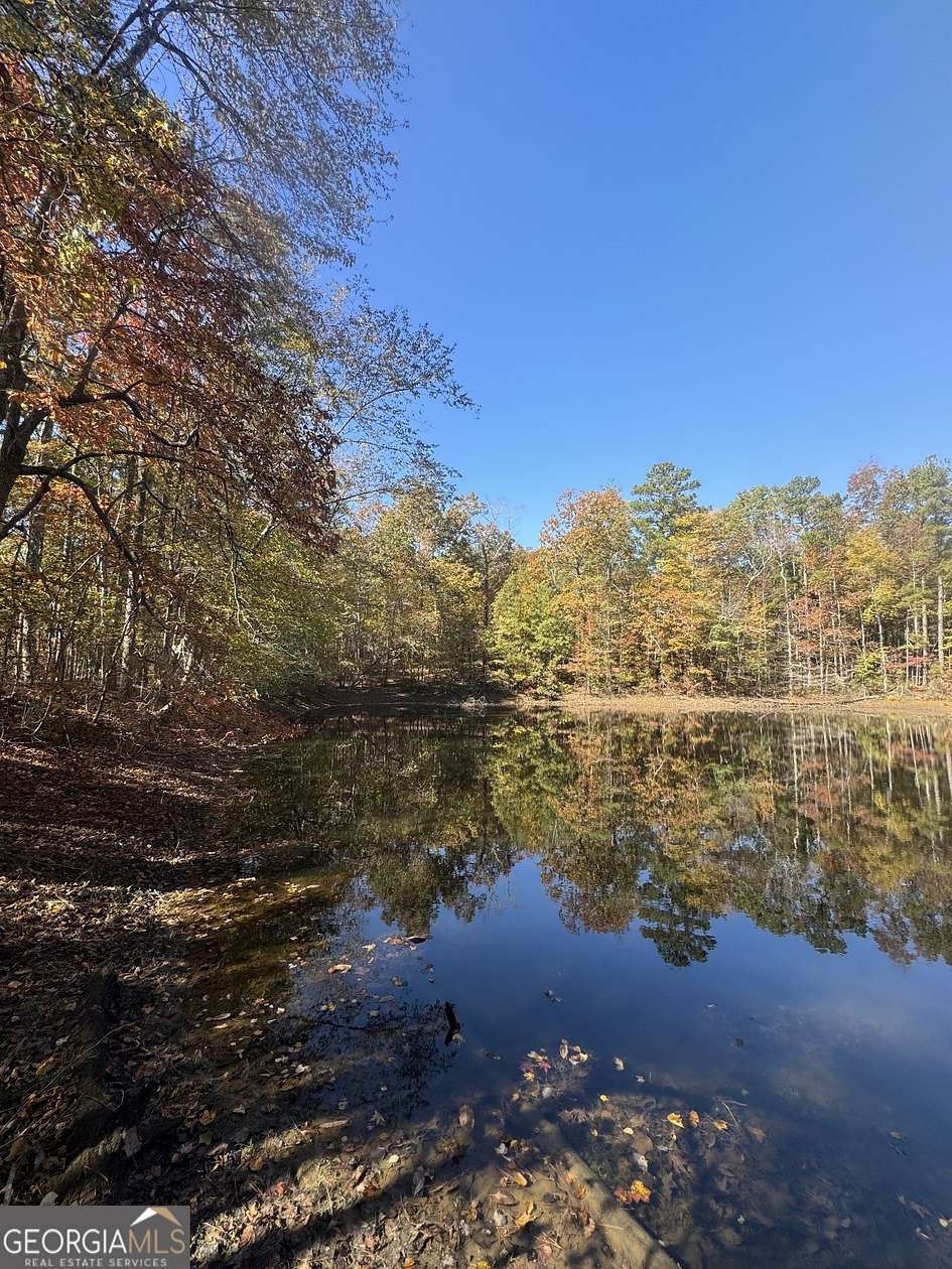 35 Acres of Recreational Land for Sale in Whitesburg, Georgia
