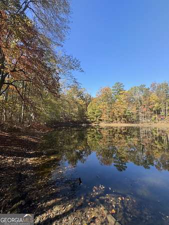 35 Acres of Recreational Land for Sale in Whitesburg, Georgia