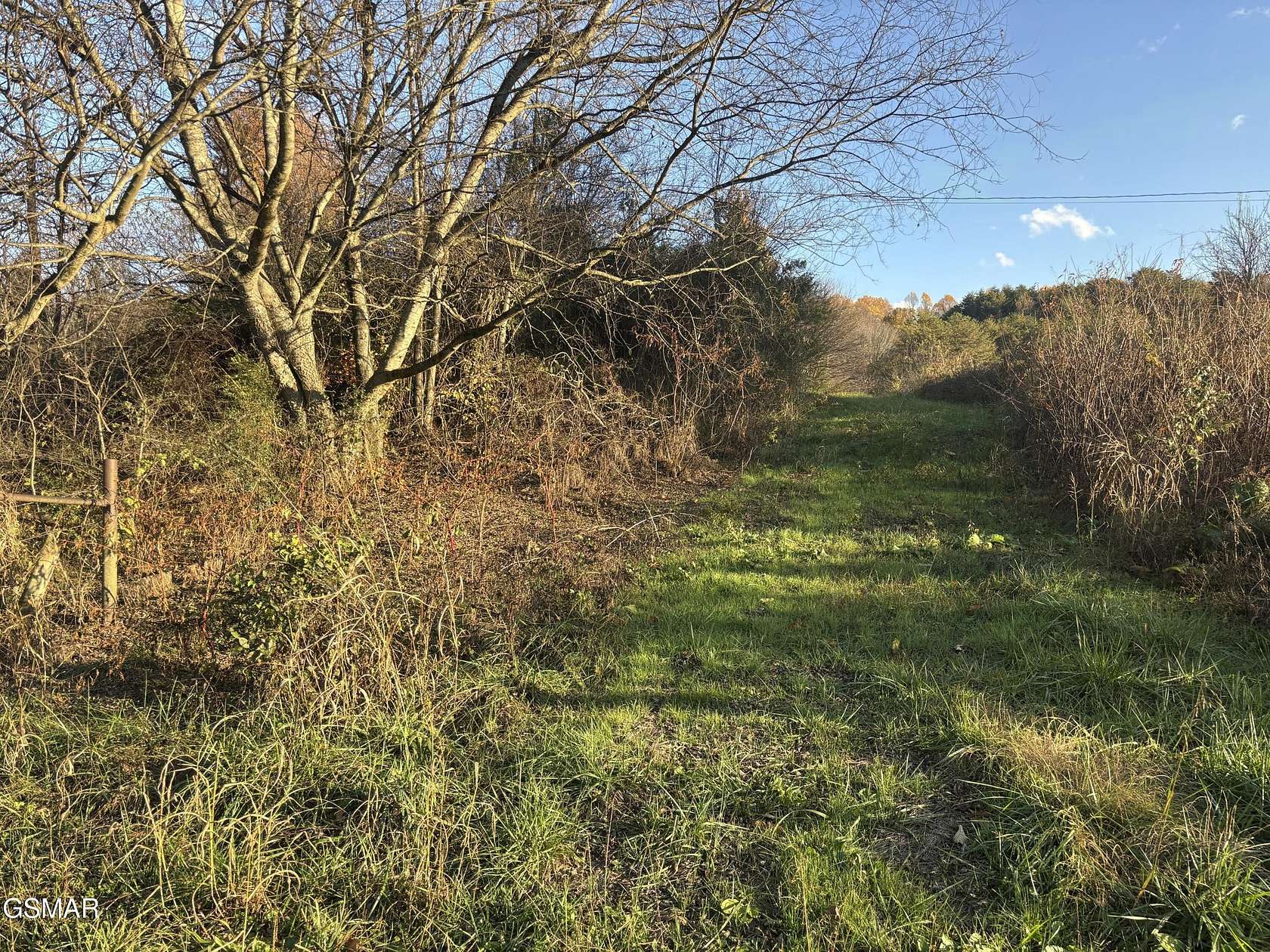 21.4 Acres of Recreational Land & Farm for Sale in Parrottsville, Tennessee