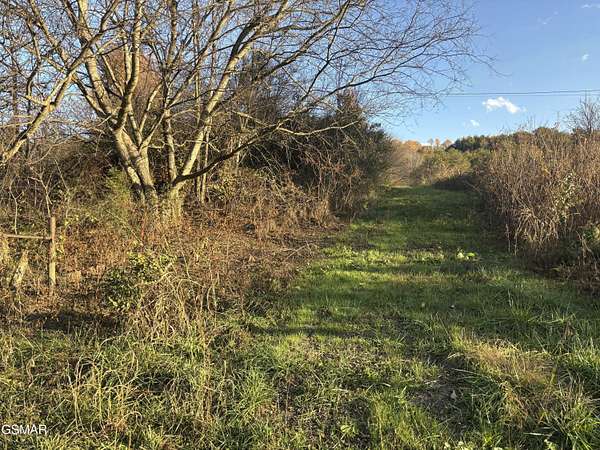 21.4 Acres of Recreational Land & Farm for Sale in Parrottsville, Tennessee
