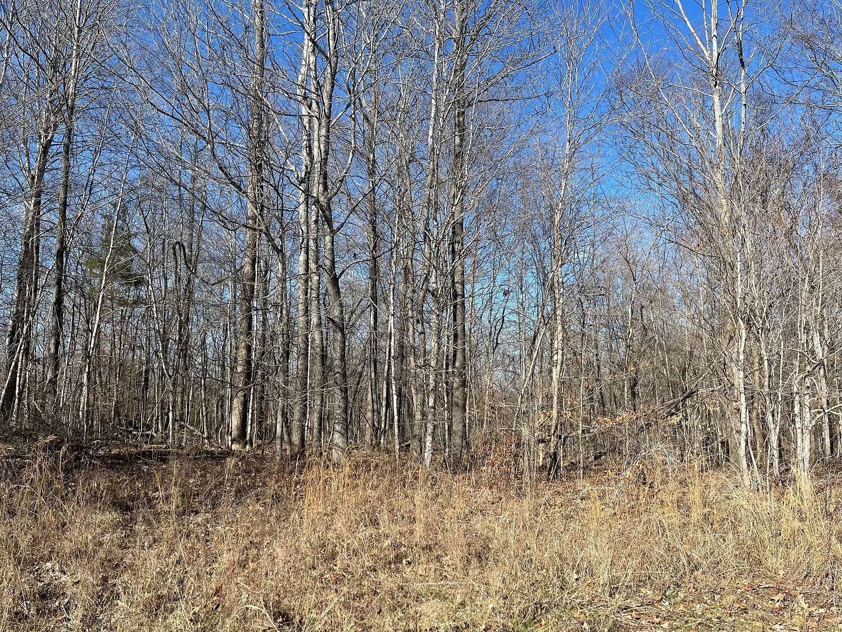 2 Acres of Residential Land for Sale in Woodlawn, Tennessee