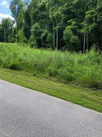 2 Acres of Residential Land for Sale in Woodlawn, Tennessee