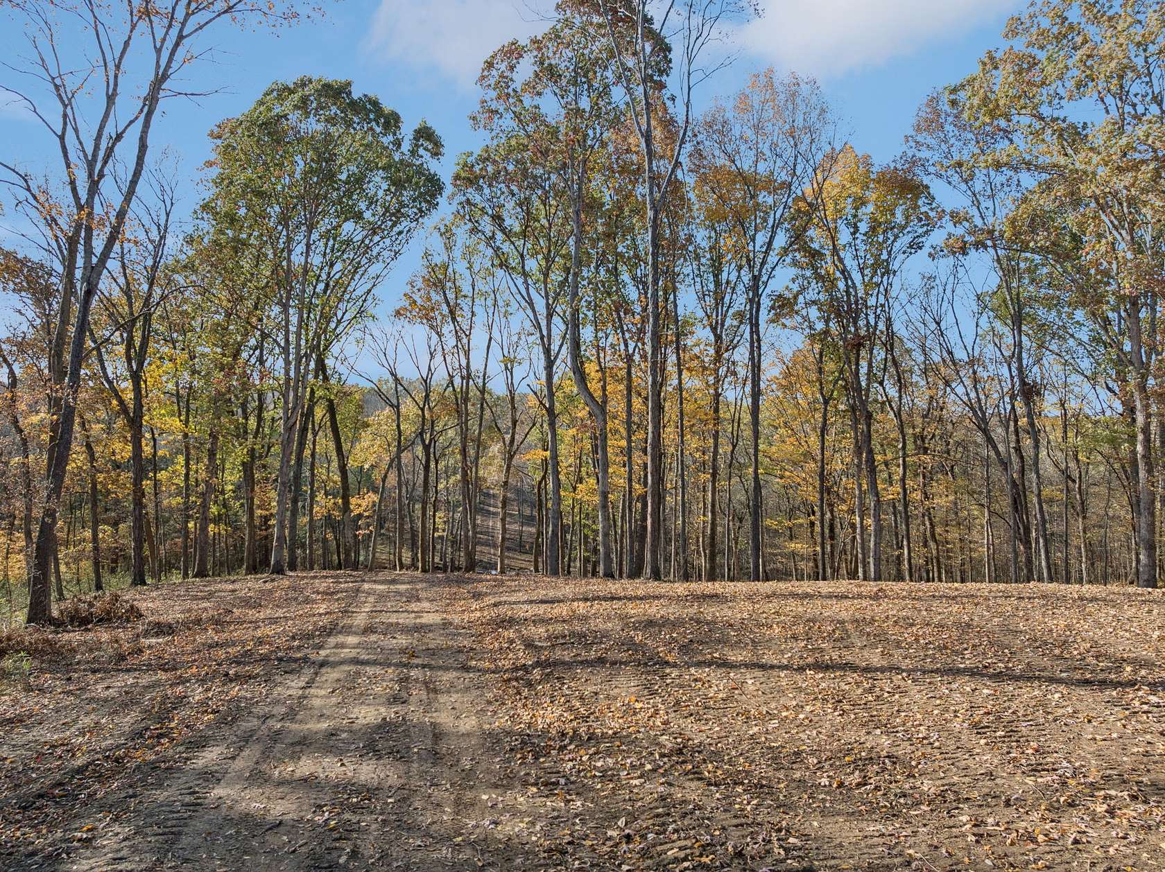 12.8 Acres of Land for Sale in Lebanon, Tennessee