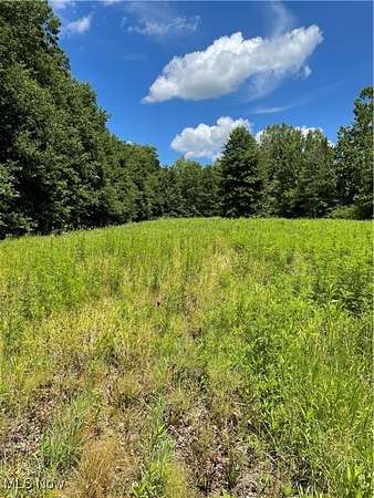 66.4 Acres of Agricultural Land for Sale in Columbia Station, Ohio