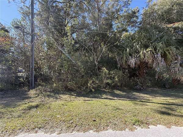0.17 Acres of Residential Land for Sale in Ocala, Florida