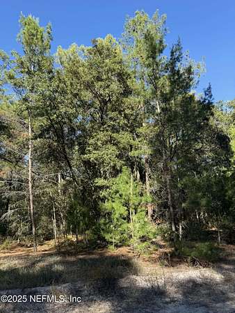 0.18 Acres of Residential Land for Sale in Florahome, Florida