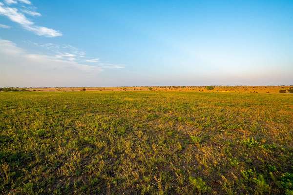 11.6 Acres of Land for Sale in Bertram, Texas