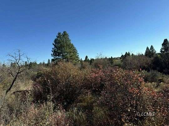 0.25 Acres of Residential Land for Sale in Chiloquin, Oregon