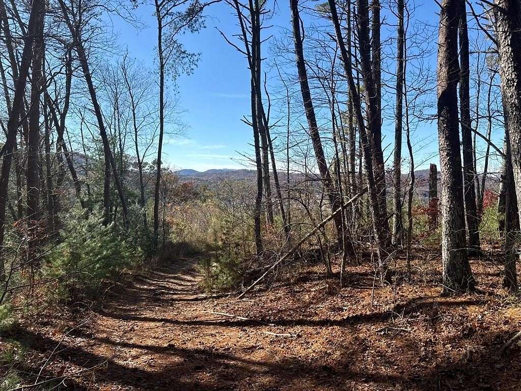 64.1 Acres of Recreational Land for Sale in Murphy, North Carolina