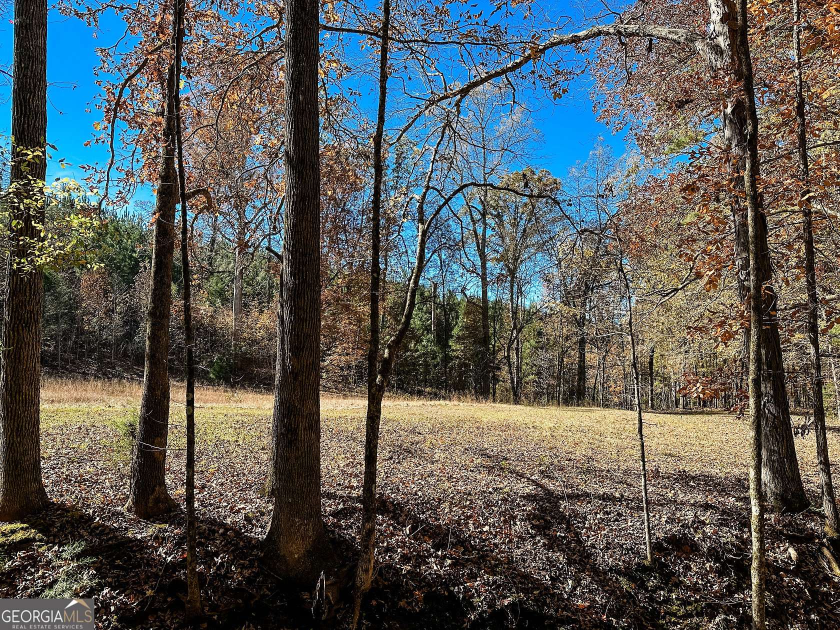 12 Acres of Land for Sale in Monticello, Georgia
