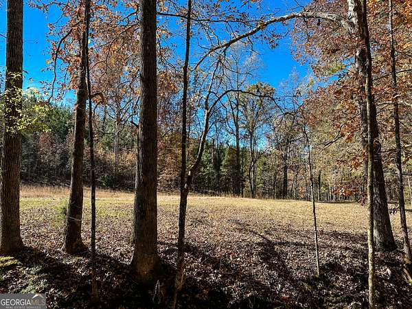 12 Acres of Land for Sale in Monticello, Georgia