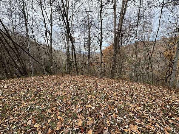 4 Acres of Land for Sale in Bryson City, North Carolina