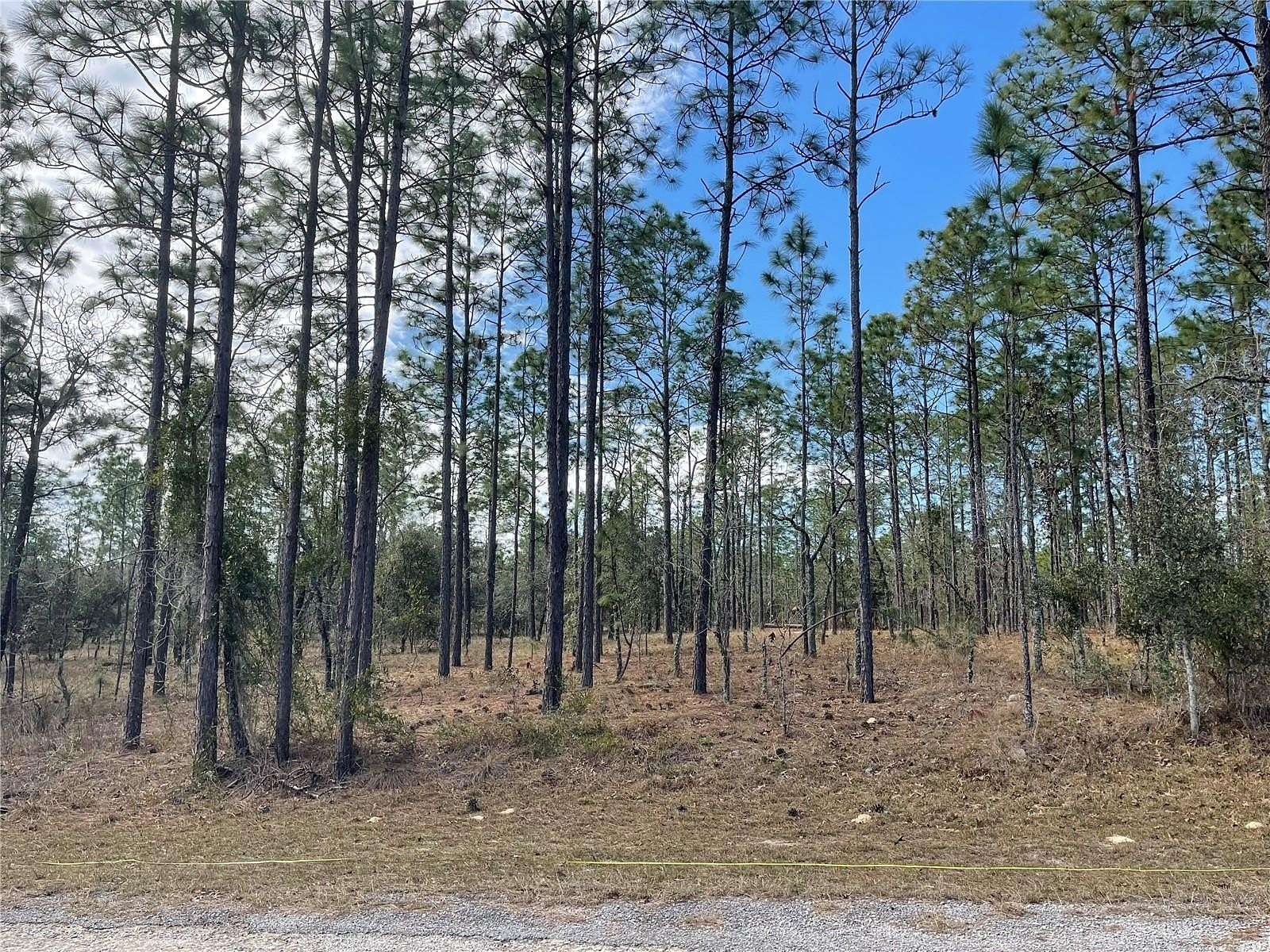 0.25 Acres of Residential Land for Sale in Dunnellon, Florida