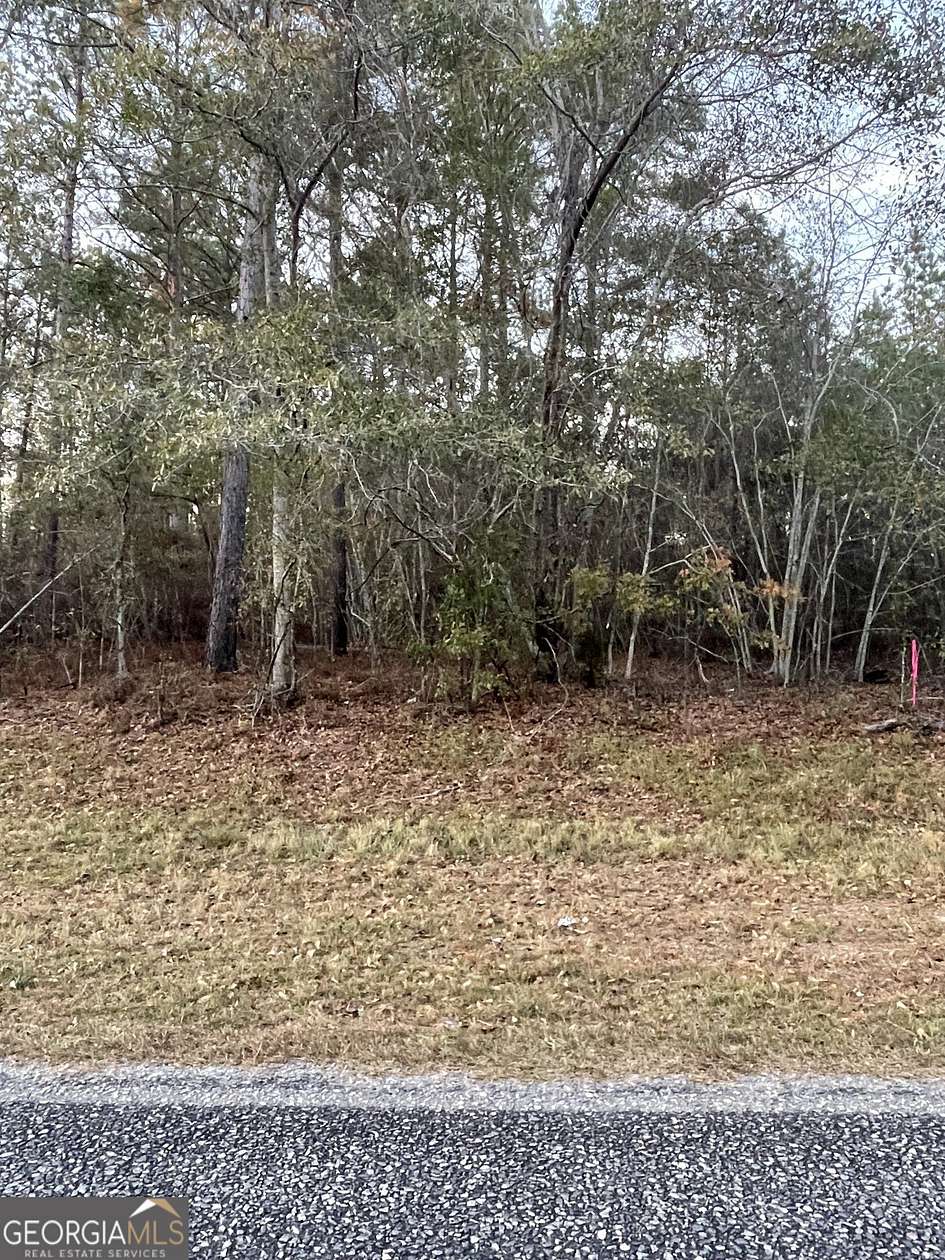 13.5 Acres of Land for Sale in Twin City, Georgia