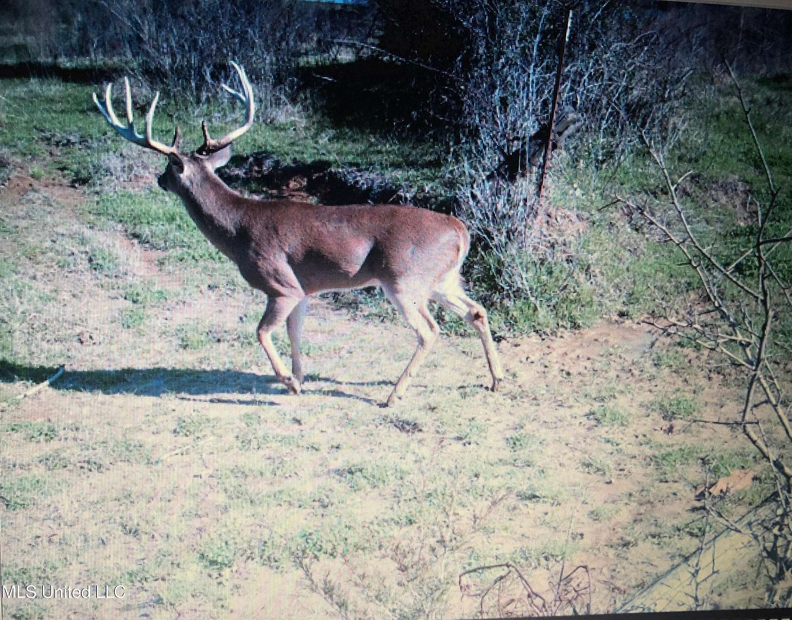 80 Acres of Recreational Land & Farm for Sale in Bolton, Mississippi