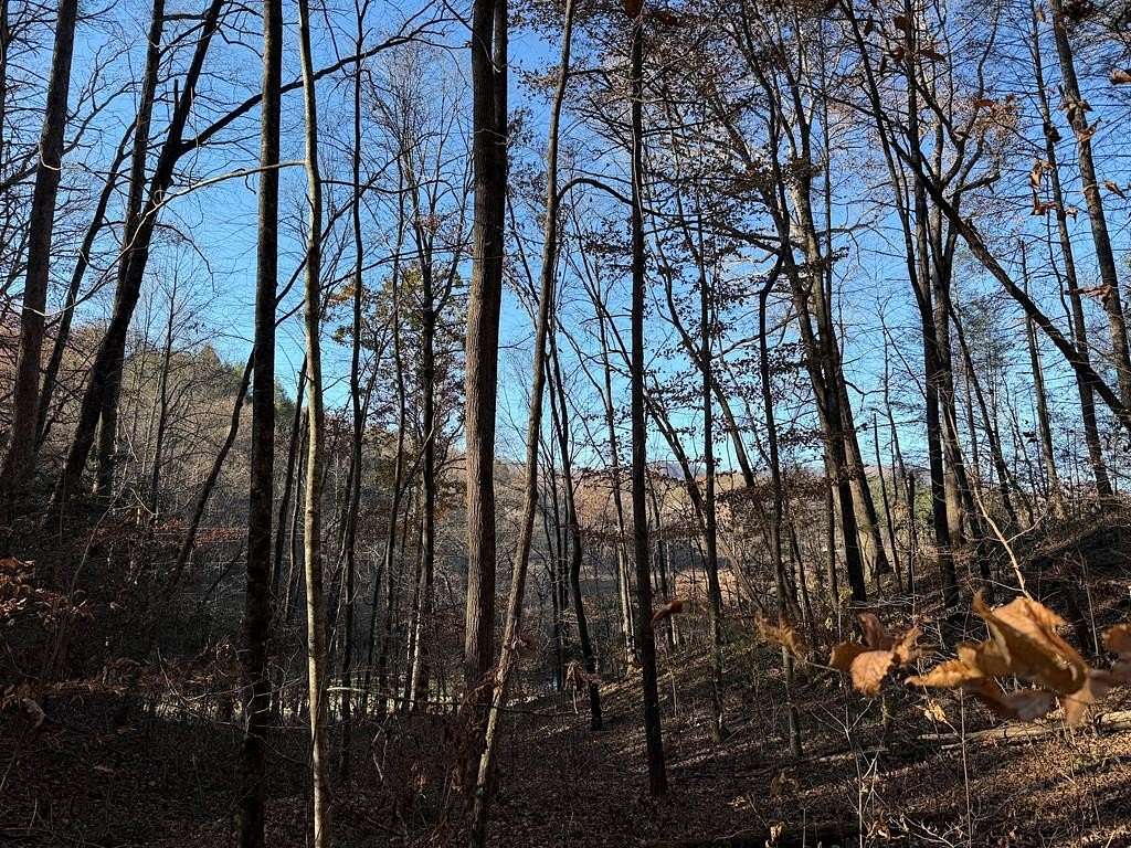 35.6 Acres of Land for Sale in Ellijay, Georgia