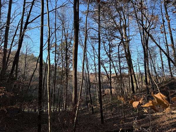 35.6 Acres of Land for Sale in Ellijay, Georgia