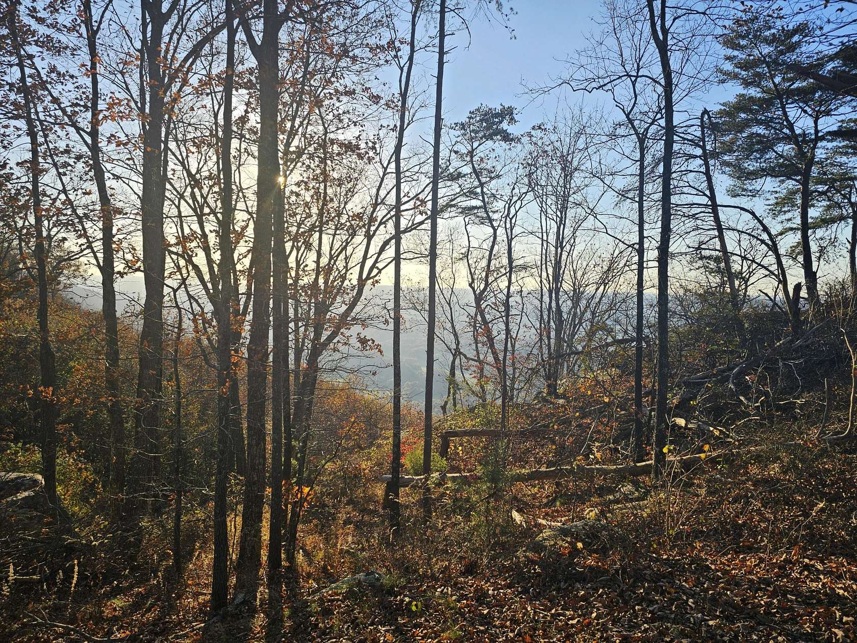 0.44 Acres of Residential Land for Sale in Lookout Mountain, Georgia