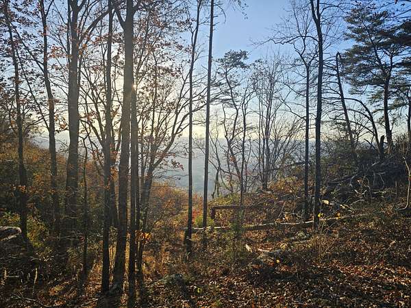 0.44 Acres of Residential Land for Sale in Lookout Mountain, Georgia