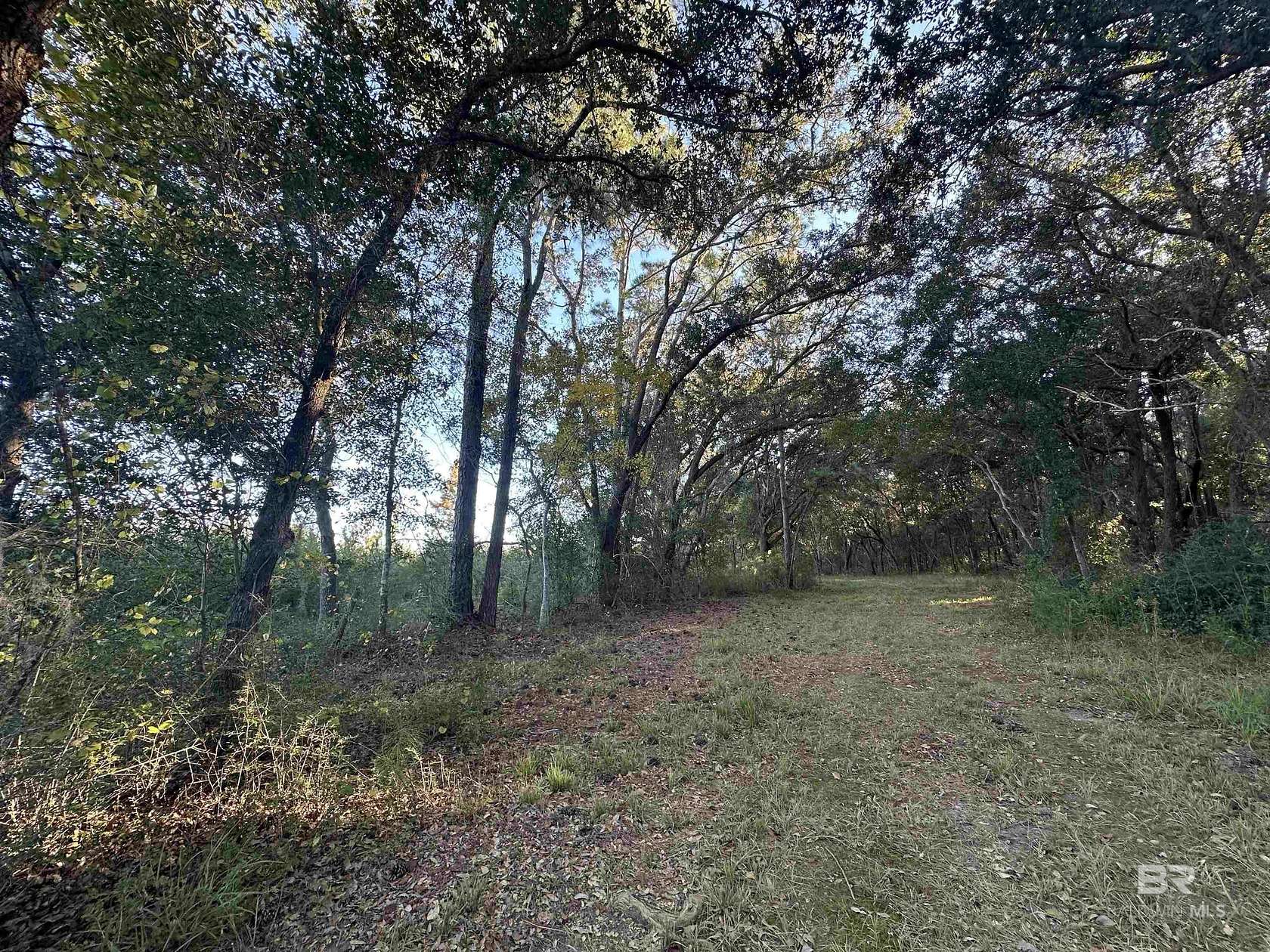 168 Acres of Recreational Land for Sale in Foley, Alabama