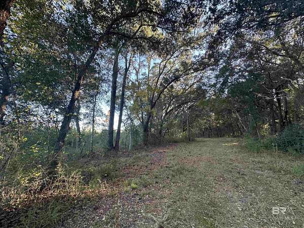 168 Acres of Recreational Land for Sale in Foley, Alabama