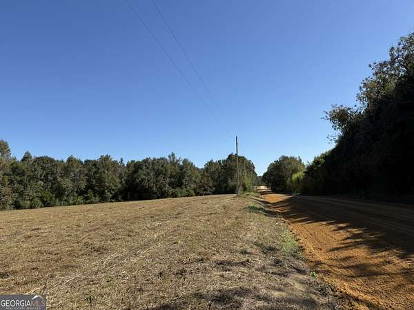 11 Acres of Agricultural Land for Sale in Webb, Alabama