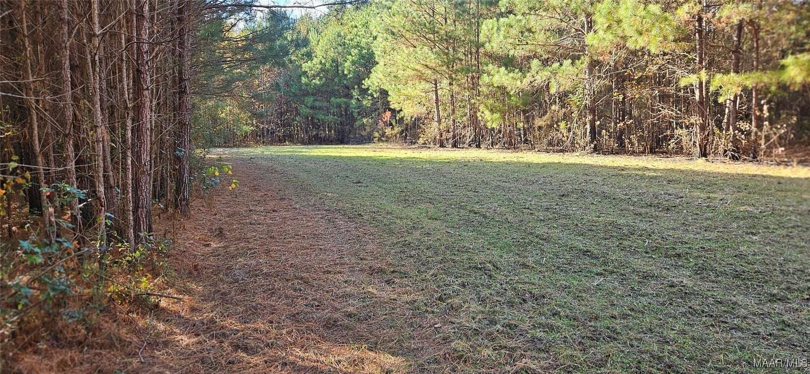 20 Acres of Recreational Land for Sale in Montgomery, Alabama