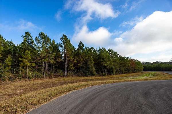 2 Acres of Residential Land for Sale in Willis, Texas