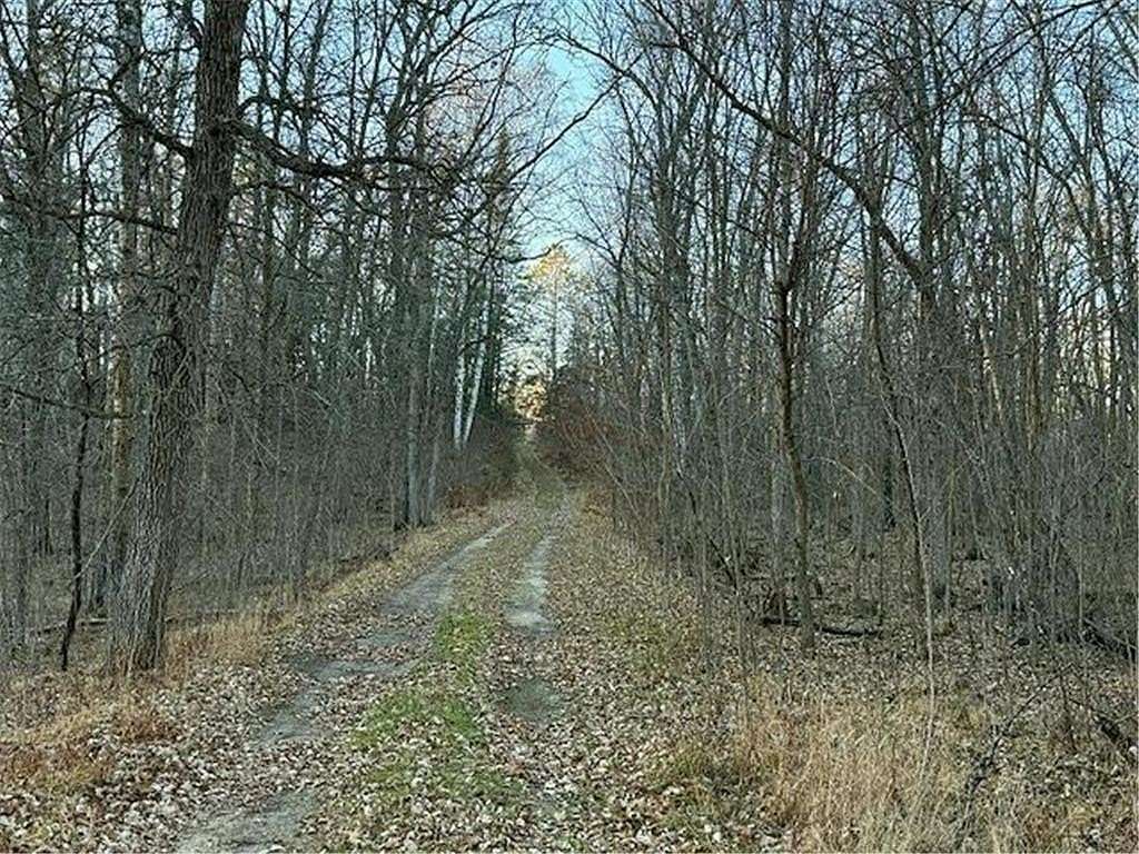 123 Acres of Recreational Land for Sale in Park Rapids, Minnesota