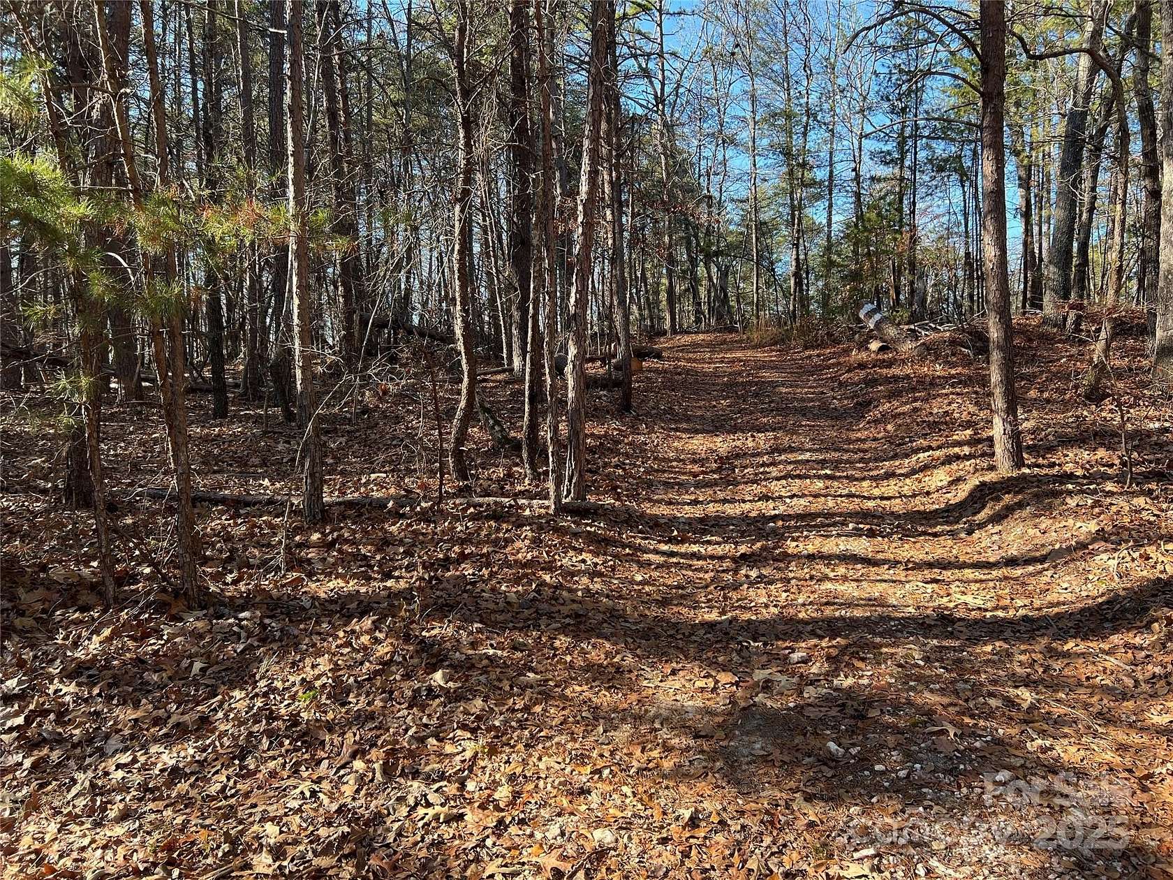 18.1 Acres of Recreational Land for Sale in Smyrna, South Carolina