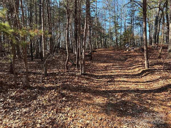 18.1 Acres of Recreational Land for Sale in Smyrna, South Carolina