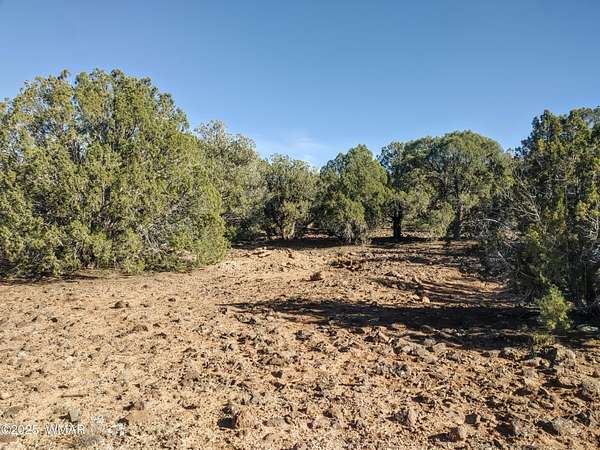 0.26 Acres of Residential Land for Sale in Show Low, Arizona
