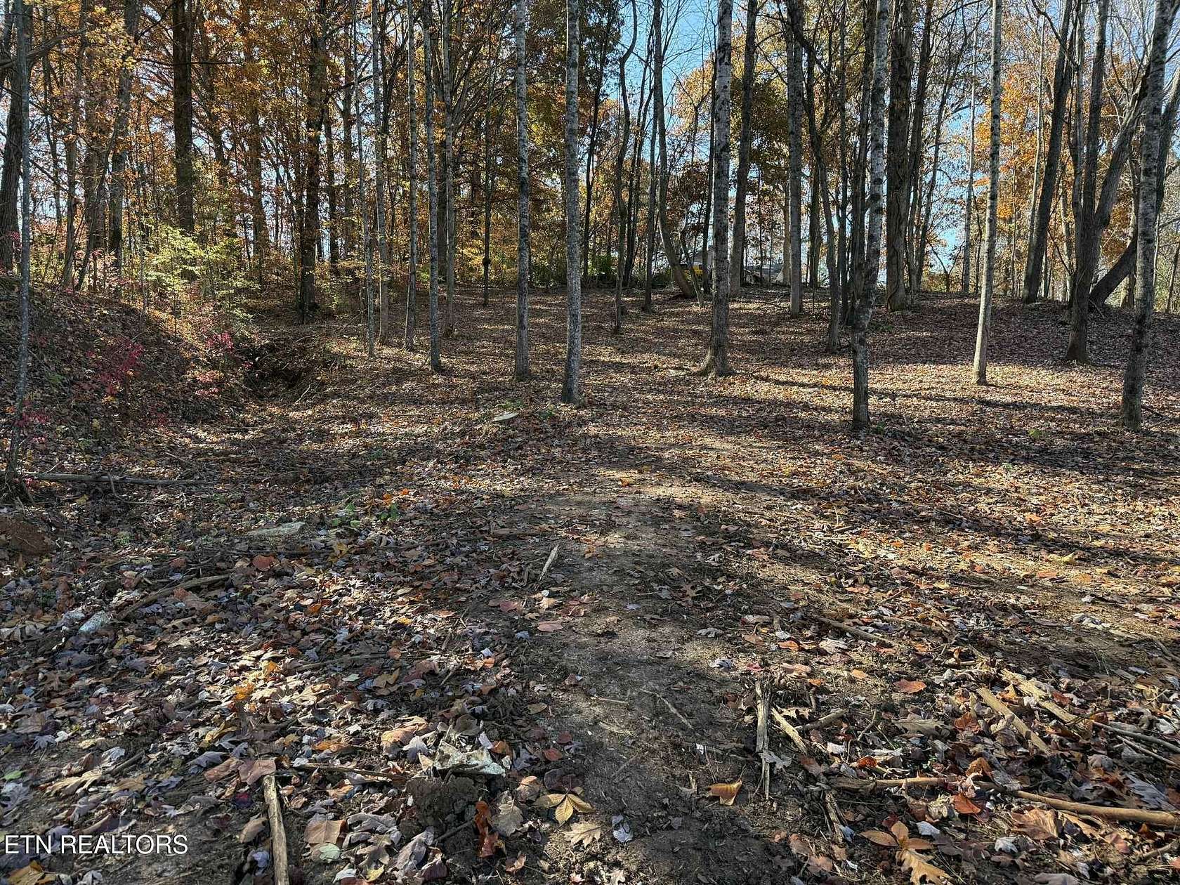 1.19 Acres of Residential Land for Sale in Seymour, Tennessee