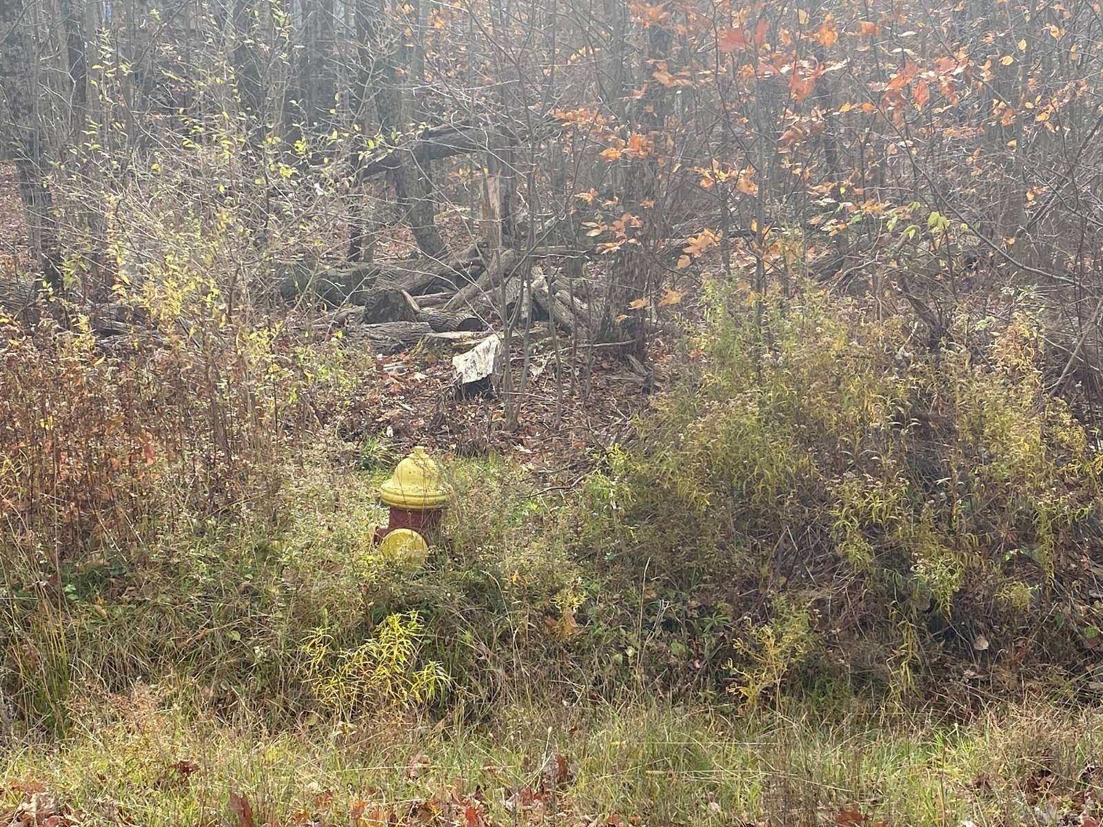 0.34 Acres of Residential Land for Sale in Fallsburg Town, New York